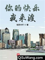 你的快乐我来渡小说
