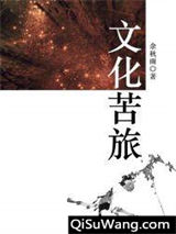 文化苦旅小说