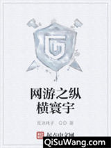 网游之纵横寰宇小说