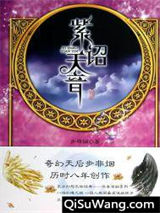紫诏天音小说