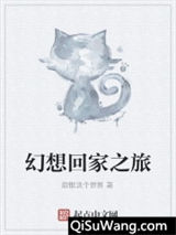 幻想回家之旅小说