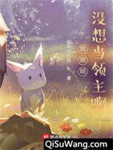 我明明没想当领主啊小说