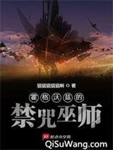 霍格沃兹的禁咒巫师小说