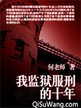 我监狱服刑的十年小说