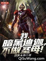 我，暗黑迪迦，不做圣母！小说