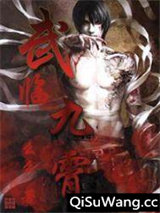 武临九霄小说