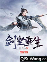 剑皇重生小说