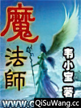 魔法师小说