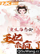 重生当恶女：王妃杀疯了小说