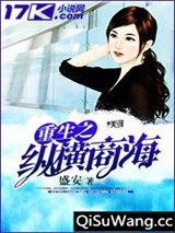 重生之纵横商海小说