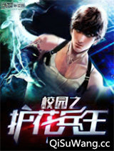 校园之护花兵王小说