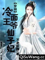 冷面王爷仙子妃小说