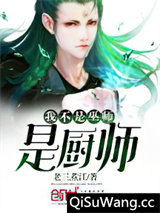 我不是巫师是厨师小说