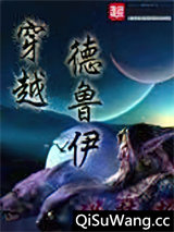 穿越德鲁伊小说