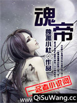 魂帝小说