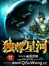 独尊星河小说