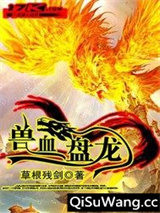 兽血盘龙小说