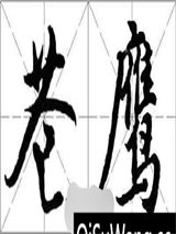 苍鹰1残余的光明小说