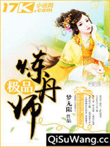 极品炼丹师小说