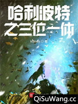 哈利波特之三位一体小说