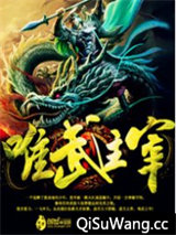 唯武主宰小说