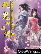 九鬼御龙小说