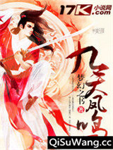 九天凤鸣小说