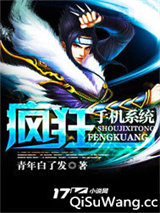 疯狂手机系统小说