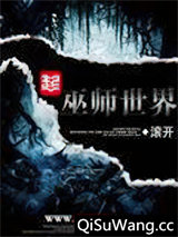 巫师世界小说