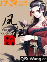 凤狂小说