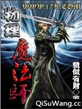物理魔法师小说