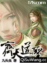 齐天道圣小说