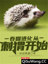 吞噬进化从刺猬开始小说