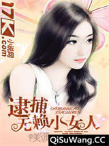 逮捕无赖小女人小说