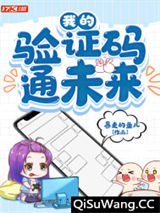 我的验证码通未来小说