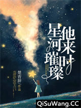 他来时星河璀璨小说