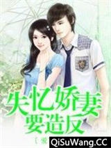 失忆娇妻要造反小说
