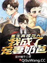 重生离婚当天，我成了宠妻奶爸小说