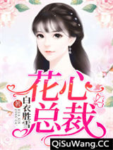 花心总裁小说