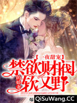 一夜甜宠：禁欲财阀的娇妻软又野小说