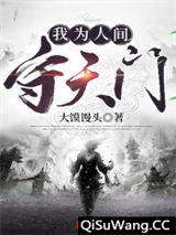 我为人间守天门小说