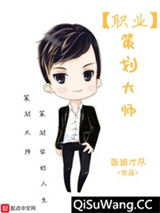 职业策划大师小说
