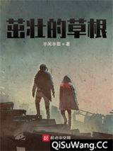 茁壮的草根小说