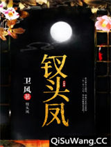 钗头凤小说