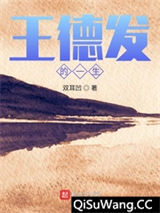王德发的一生小说