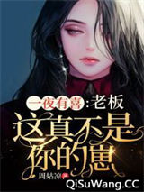 一夜有喜：老板，这真不是你的崽小说