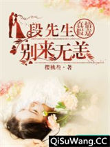 真情假意：段先生别来无恙小说