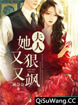 夫人她又狠又飒小说