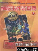 狼群中的少年小说