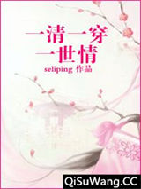 一清一穿一世情小说